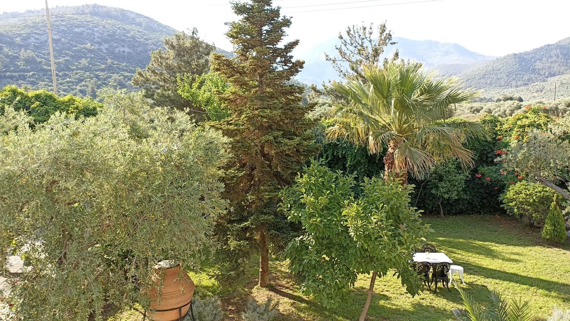 Villa Karapataki Skala Rachoni (Thasos) Exterior foto
